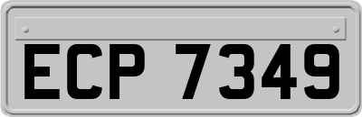 ECP7349