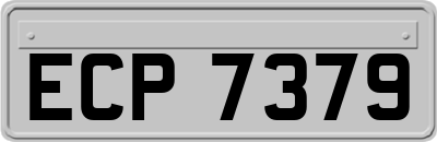 ECP7379