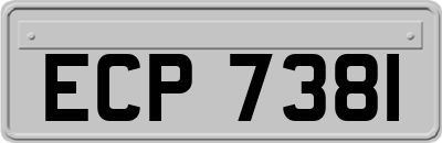 ECP7381
