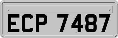 ECP7487