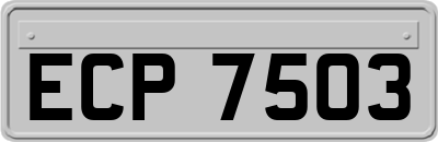 ECP7503