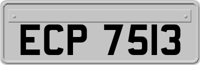 ECP7513