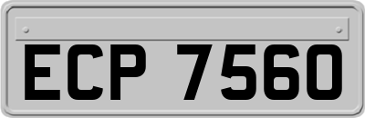 ECP7560