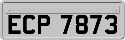 ECP7873