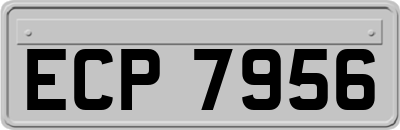 ECP7956
