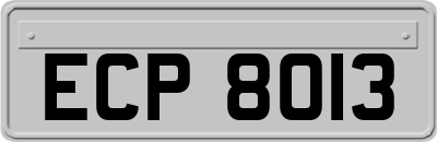 ECP8013