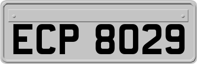 ECP8029