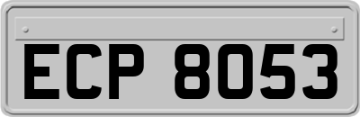 ECP8053