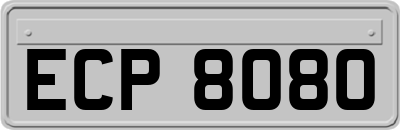 ECP8080