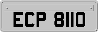 ECP8110