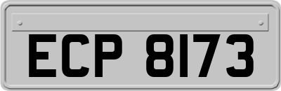 ECP8173