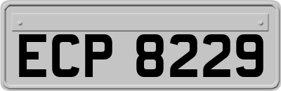 ECP8229
