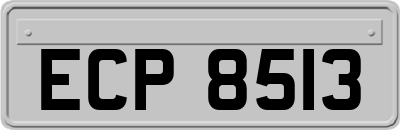 ECP8513
