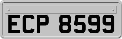 ECP8599