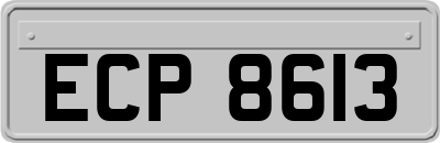 ECP8613