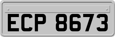ECP8673
