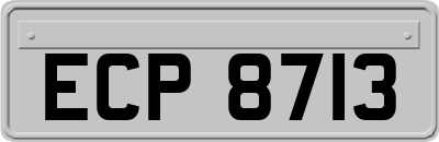 ECP8713