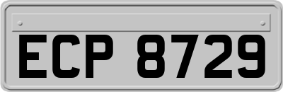 ECP8729