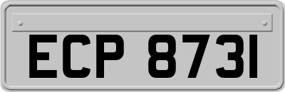 ECP8731