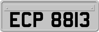 ECP8813