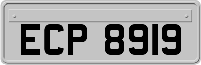 ECP8919