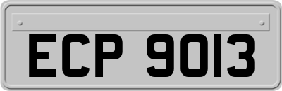 ECP9013