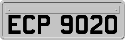 ECP9020
