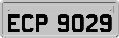 ECP9029