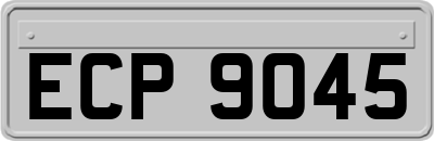 ECP9045