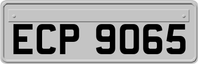 ECP9065