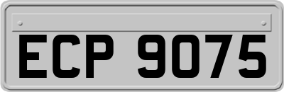 ECP9075