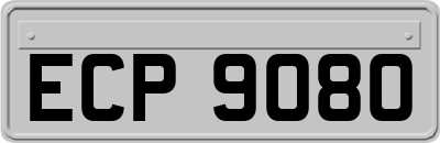 ECP9080
