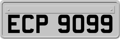 ECP9099