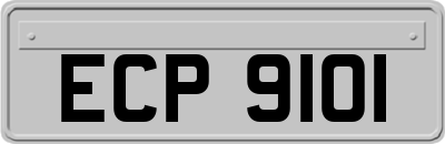 ECP9101