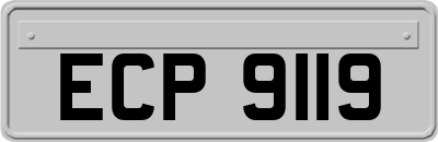 ECP9119