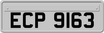 ECP9163