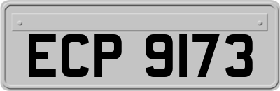ECP9173