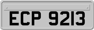 ECP9213