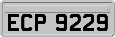 ECP9229