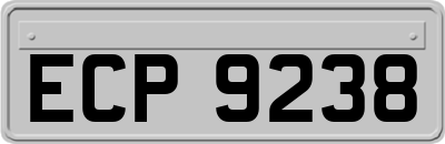 ECP9238