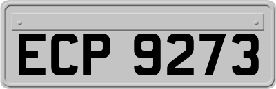 ECP9273