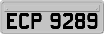ECP9289