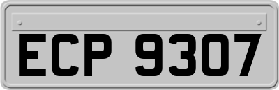 ECP9307