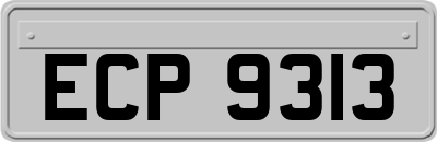 ECP9313