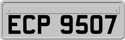 ECP9507
