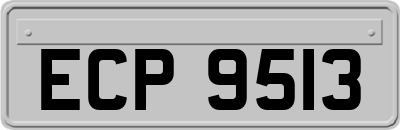 ECP9513