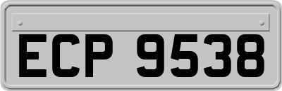ECP9538