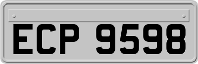 ECP9598