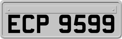 ECP9599
