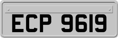 ECP9619